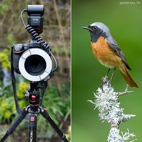 K&F Concept Flash Anulare per Canon E-TTL NG14 Modalita Secondaria S1/S2 Wireless Display LCD con Lampadina di Assistenza - Fashionser