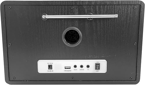 Maxxo DT02 - Altoparlante portatile DAB + FM Internet Radio WiFi, piccola radio digitale con batteria ricaricabile, display TFT a colori da 2,4' - Fashionser