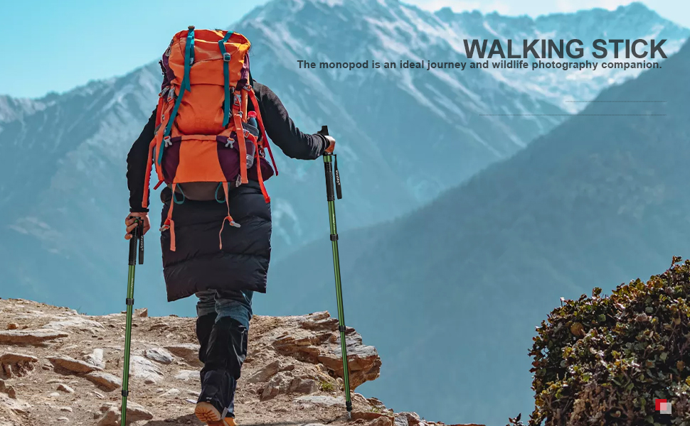 Fotocamera Monopiedi per Fotocamere Viaggio monopiede Walking Stick selfie stick dslr treppiede stand trekking