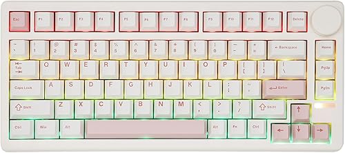 EPOMAKER QK81 75% Tastiera da Gioco Meccanica Senza Fili, QMK/VIA Programmabile, Hot-Swap, 81 Tasti con Manopola in Metallo, 2,4Ghz/BT/USB, Creamy Gasket-Mount, RGB Backlight (Nero, Wisteria Linear) - Fashionser