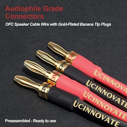 Confezione da 2 cavi di alta qualità in puro rame HIFI OFC con spina a banana, connettori placcati oro, maschio a maschio, 600 fili, 15 AWG, per altoparlanti audio, sistema HIFI Home Theater (3 m) - Fashionser