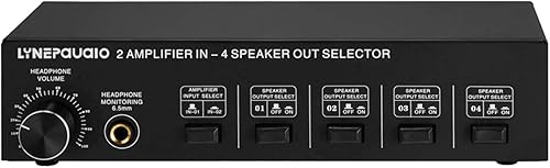 YIWEOG Selettore Altoparlanti 2 in 4 out Box Amplificatore a 4 Zone e selettore Altoparlanti con Controllo del Volume Jack a Banana Jack da 6,5 mm per Auricolari - Fashionser