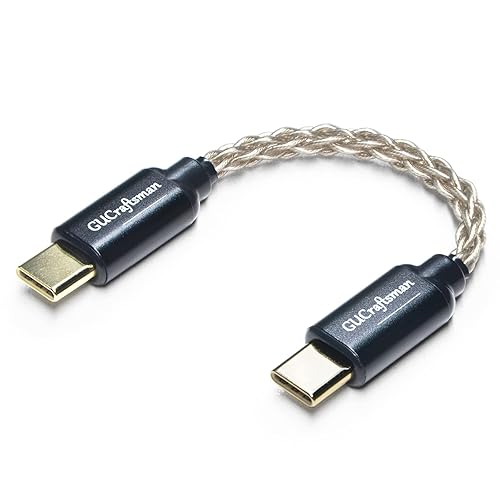 Cavo amplificatore per cuffie USB C tipo C a tipo C 6N singolo cristallo argento per FiiO BTR5 Q1 Q3 Q3s Qudelix 5K xDuoo Link2 XD-05PLUS E1DA 9038G3 9038S 9038D Lotoo PAW S2¡ - Fashionser