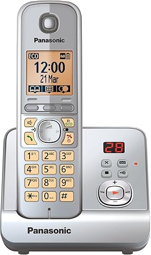 Panasonic KX-TG6721GS Telefono cordless - Fashionser