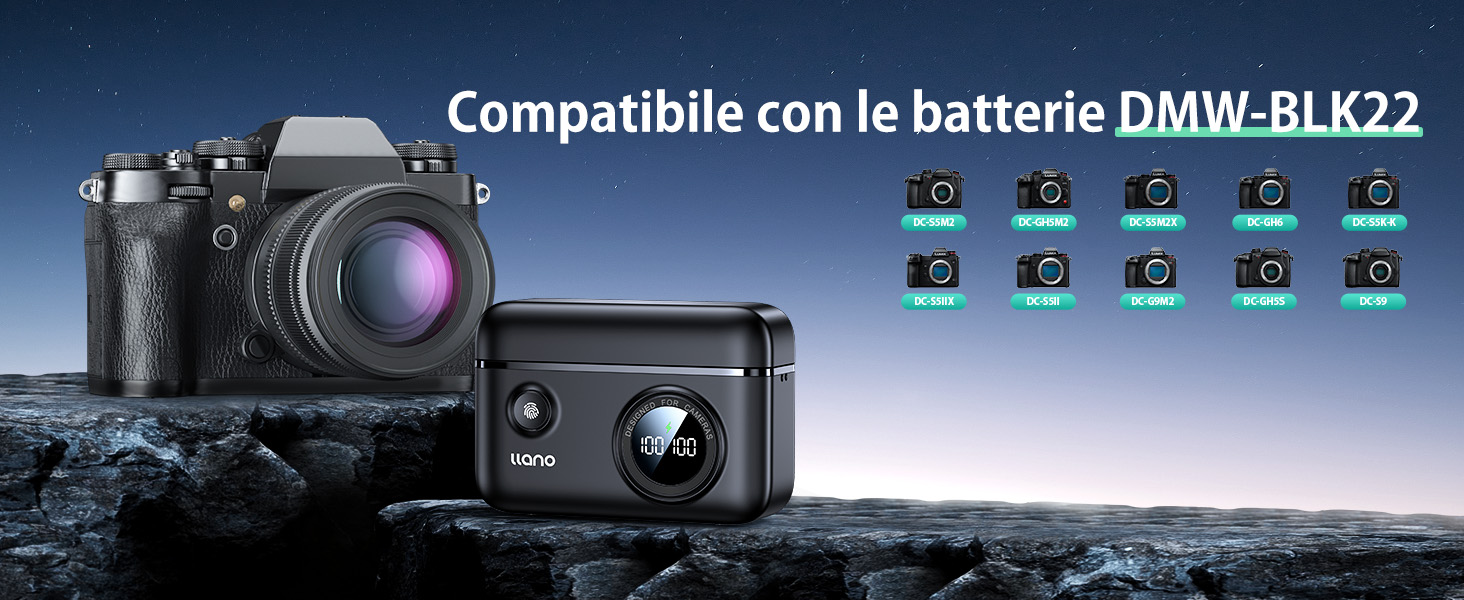Batteria ricaricabile per Panasonic Lumix DC-S5 II DC-S5 IIX batteria di batteria con caricabatteria