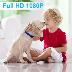 videocamera sorveglianza interno wifi