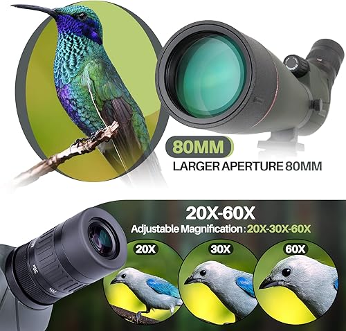 Cannocchiale Professionale Potente 20-60x80 con treppiede, borsa per il trasporto e adattatore per smartphone - Telescopio angolato BAK4 - Il più nuovo telescopio impermeabile per tiro al bersaglio - Fashionser