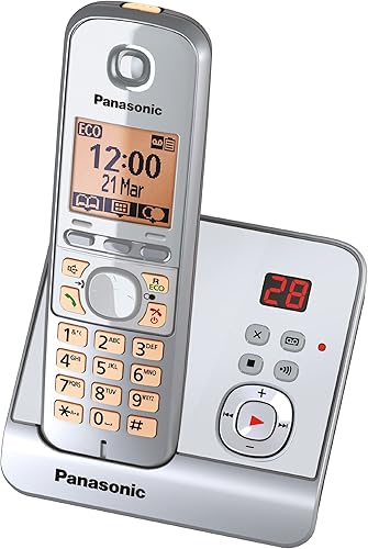Panasonic KX-TG6721GS Telefono cordless - Fashionser