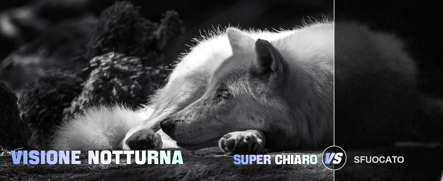 Binocolo Visione Notturna