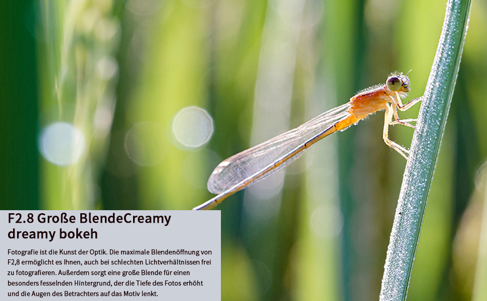 TARTISAN 40mm F2.8 Obiettivo macro APS-C Messa a fuoco manuale Obiettivo fotocamera mirrorless A4