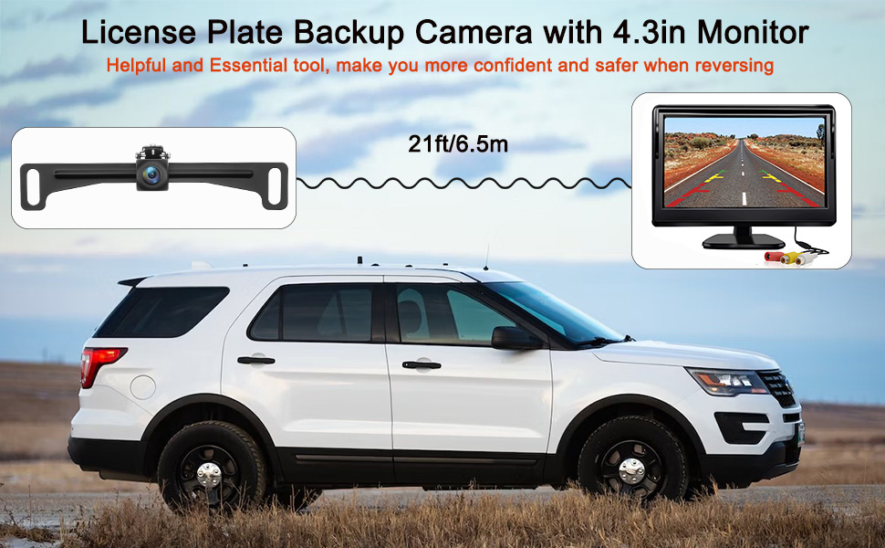 Monitor da 4,3 pollici