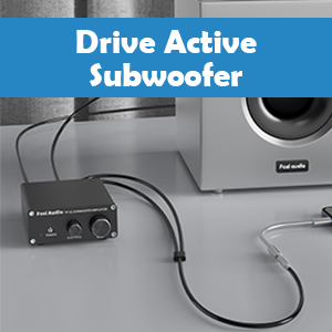Mini amplificatore compatto per subwoofer TP-02