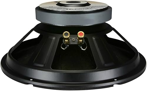 1 WOOFER PYLE PPA10 PPA 10 altoparlante diffusore da 25,00 cm 250 mm 10' da 300 watt rms e 600 watt max impedenza 8 ohm per casa feste party, 1 pezzo - Fashionser