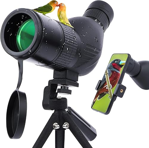 12-36x50 cannocchiale con borsa per il trasporto treppiede e adattatore per smartphone telescopio dritto per tiro al bersaglio caccia bird watching - Fashionser