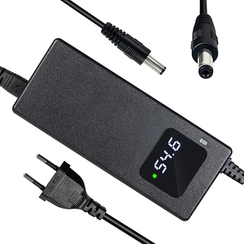 YANGZIDIANYUAN Caricabatterie rapido da 54,6 V, 4 A, per scooter elettrico da 48 V, batteria agli ioni di litio (54,6 V, 2 A, 5,5 x 2,1) - Fashionser