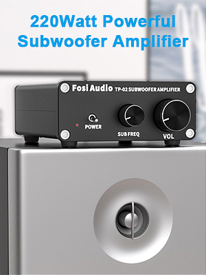 Mini amplificatore compatto per subwoofer TP-02