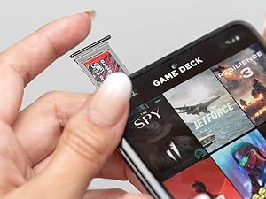SanDisk Gameplay microSD