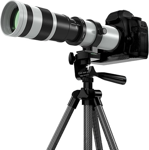 BENOISON Teleobiettivo per Sony E, 420-800mm Zoom, Messa a Fuoco Manuale (MF) per Sony A7C A7R A7S A7 A9 A6700 A6600 A6500 A6400 A6300 A6100 A6000 A5100 A5000 NEX-7 NEX-6 NEX-5 ZV-E10 (per Sony E) - Fashionser