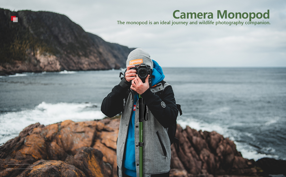 Fotocamera Monopiedi per Fotocamere Viaggio monopiede Walking Stick selfie stick dslr treppiede stand trekking