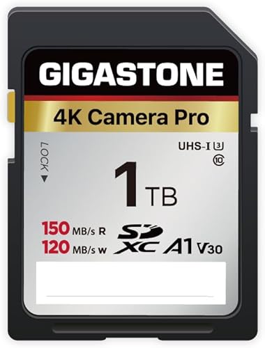 GIGASTONE 1 TB SD Card 4K Camera Pro, velocità fino a 150/120 MB/s, V30 U3 SDXC Ultra HD UHD Video per DSLR, fotocamera Canon, Nikon, Sony, Pentax, Kodak, Olympus, Panasonic, con 1 mini custodia - Fashionser