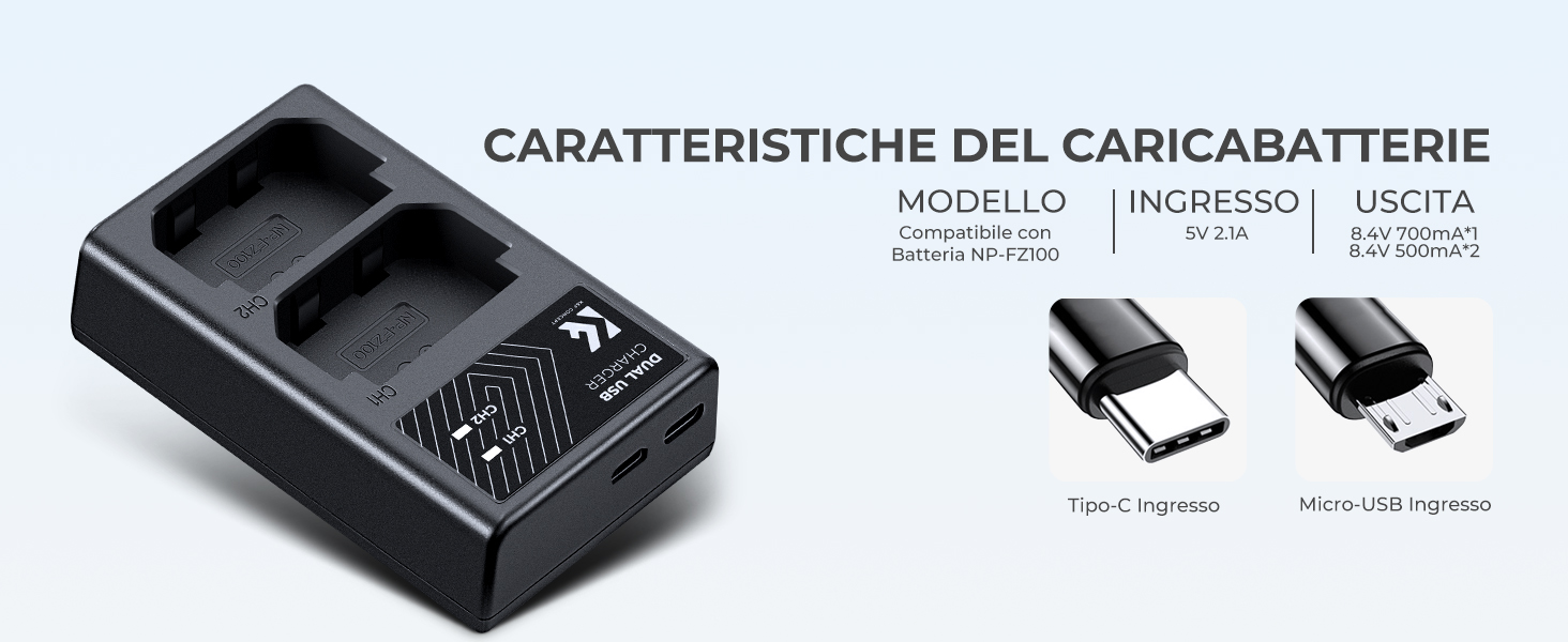 NP-FZ100 Batteria