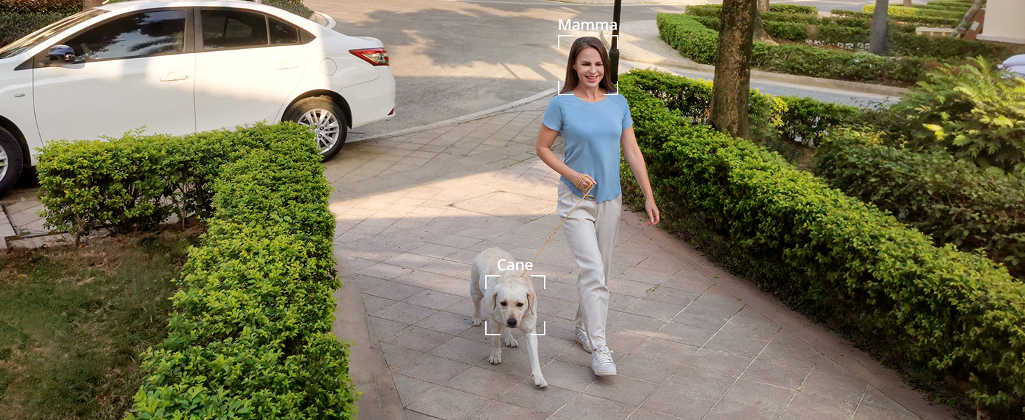 T8134_IT_PRC_TD14_V1