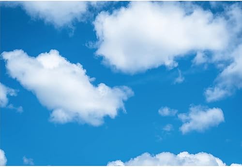 Aoihrraan 3x2m Blu Cielo Bianco Nuvole Sfondo Natura Paesaggio Fotografia Sfondo Bambino doccia bambini compleanno festa tavolo banner bambini adulti ritratto carta da parati foto studio puntelli - Fashionser