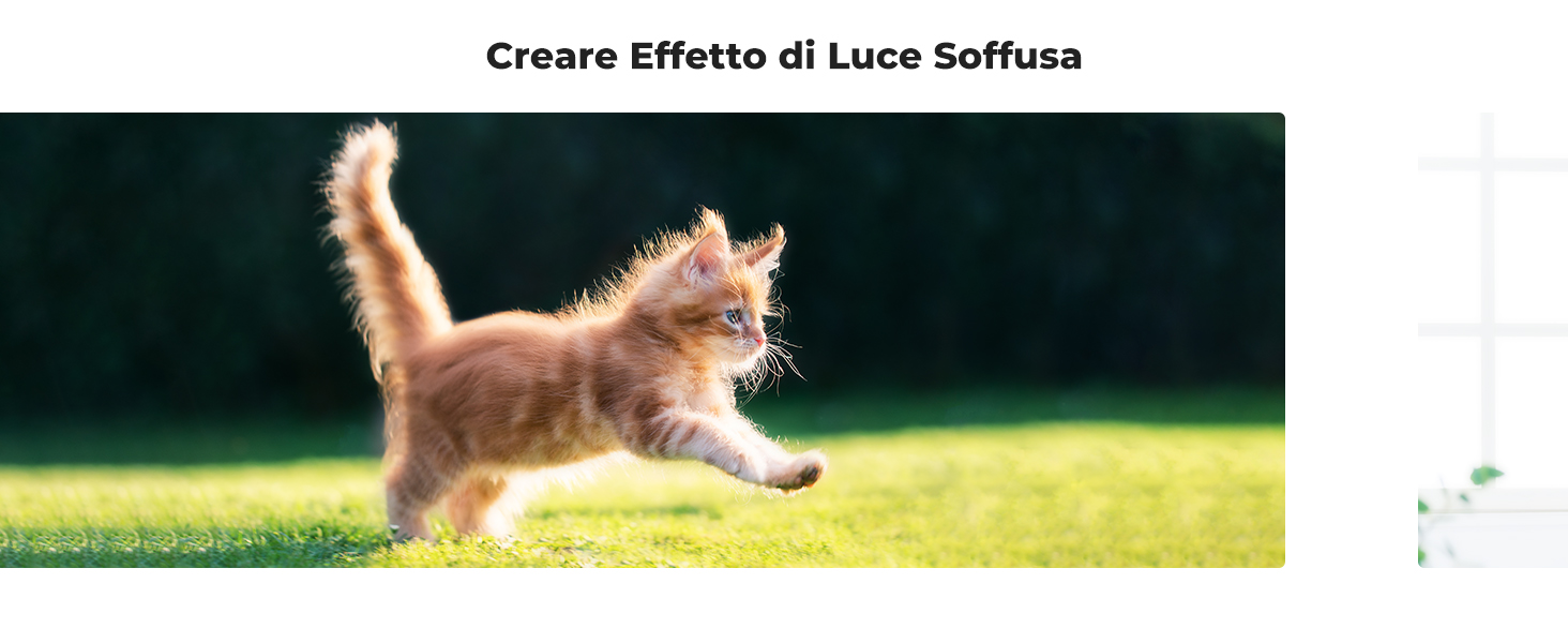 Filtro di Diffusione Bianco Mist