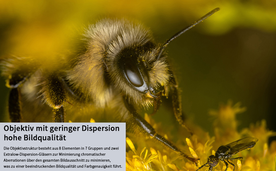 TARTISAN 40mm F2.8 Obiettivo macro APS-C Messa a fuoco manuale Obiettivo fotocamera mirrorless A3