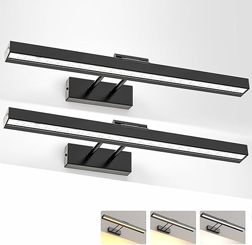 LABOREDUCER Lampada per immagini a batteria senza fili con telecomando, 2 pezzi, 16 pollici, 40 cm, ricaricabile, 4000 mAh, illuminazione per immagini a LED, senza fili, dimmerabile, 3 temperature di - Fashionser