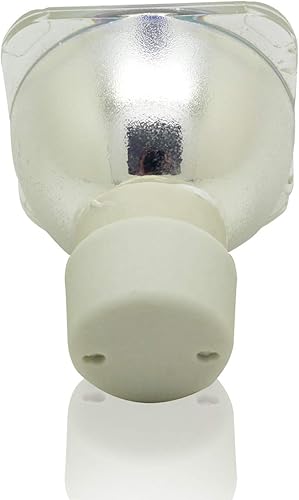 PanPacSight Originale MC.JGL11.001 UHP 190/160W 0.8 E20.9 Lampada per proiettore con Acer P1163 H6518BD T111 T111E T121E S1210 S5201 S5201B S5201M S5301WB X1110 X1110A X1130 X1130P Videoproiettore - Fashionser