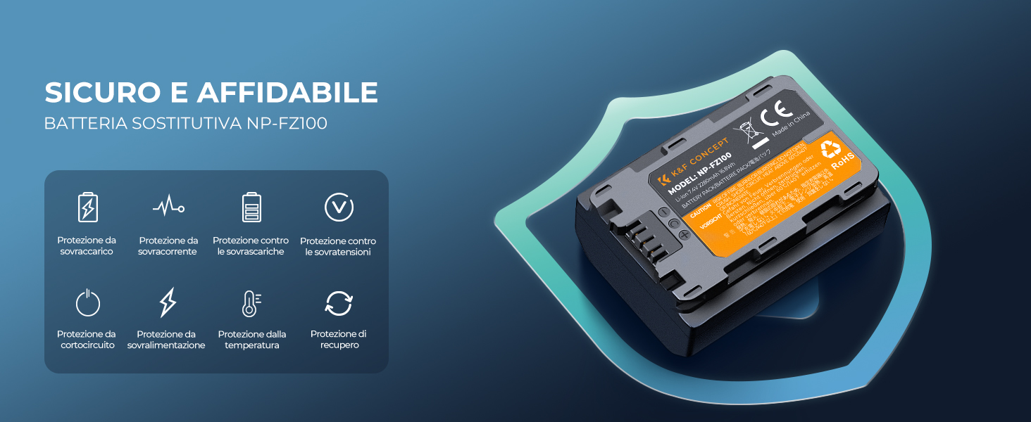 NP-FZ100 Batteria