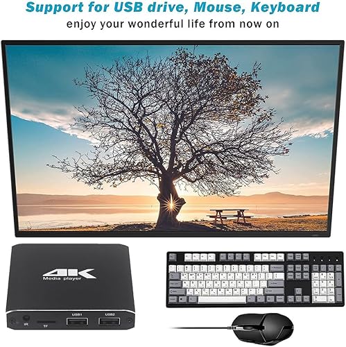 Sirxlevcy Lettore Multimediale Lettore Pubblicitario 4K 265 Riproduzione in Loop Automatico con Disco TF/AV//USB Lettore Multimediale HD 1080P, Spina UE - Fashionser