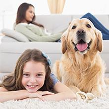 Set da Toeletta Tavolo