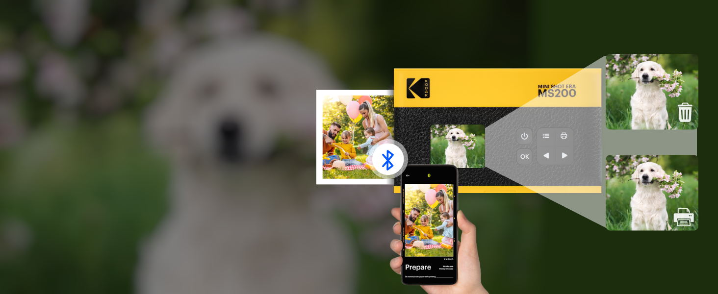 Stampante fotografica