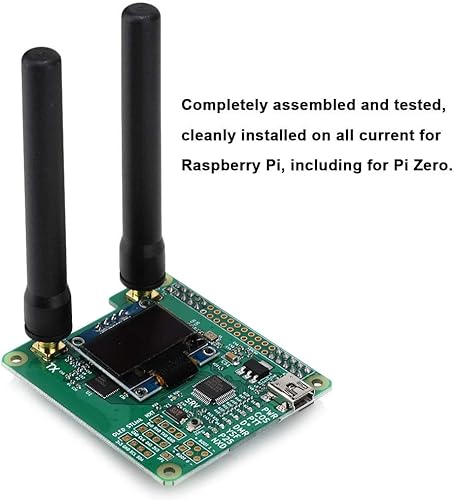 2019 V1.3 per MMDVM HS Dual Hat Duplex Hotspot Module + Display OLED + Supporto UHF/VHF per P25 / DMR/YSF - Fashionser