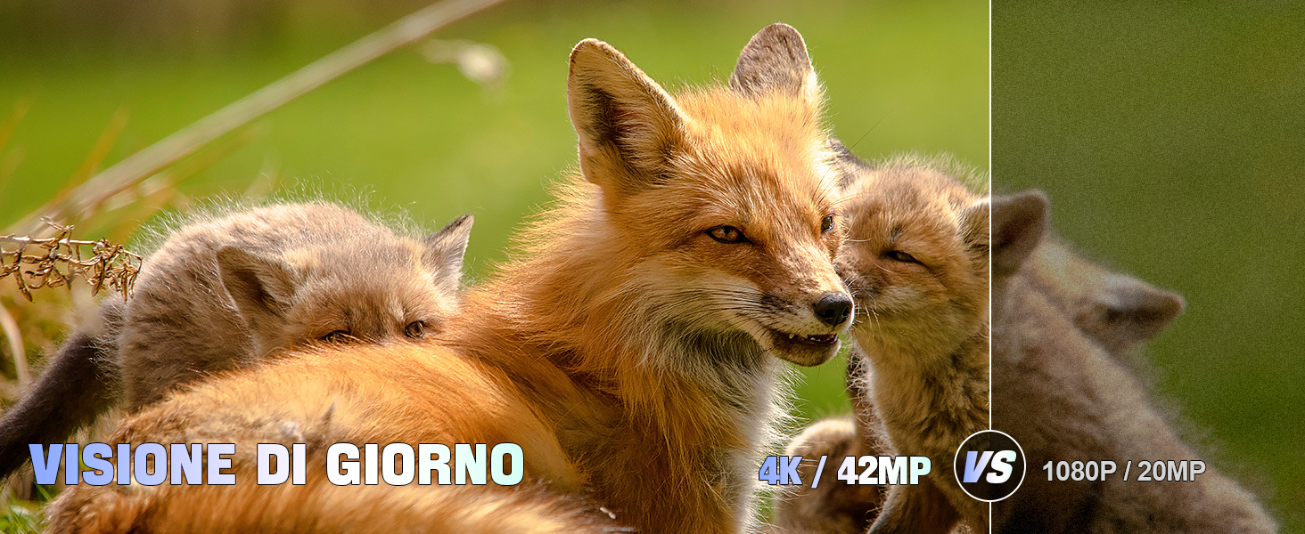 Binocolo Visione Notturna