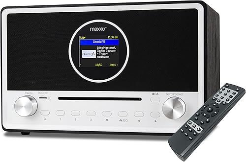 Maxxo DT02 - Altoparlante portatile DAB + FM Internet Radio WiFi, piccola radio digitale con batteria ricaricabile, display TFT a colori da 2,4' - Fashionser
