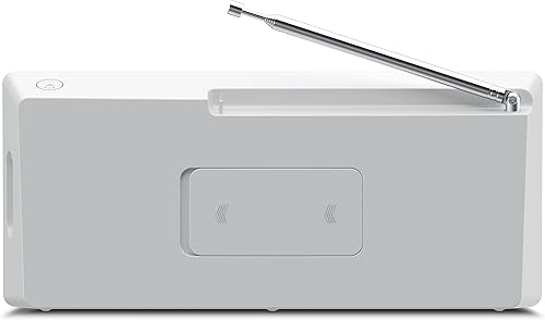 TechniSat DIGITRADIO 2 S - Radio stereo DAB portatile con batteria ricaricabile (DAB+, FM, Streaming audio Bluetooth, Display OLED, Ingresso per cuffie, Stereo 2 Watt RMS), Nero/Argento - Fashionser