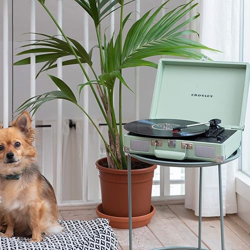 Crosley Cruiser Deluxe - Mint - Fashionser
