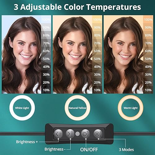 Atumtek Luce Anulare LED per Computer Portatile, 10' Ring Light Dimmerabile per Desktop, 3 Modalità di Illuminazione per Videoconferenza, Chiamata con Zoom, Diretta Streaming, Trucco, TikTok, Vlog - Fashionser