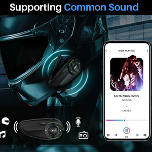 Funzione voce comune