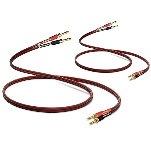 Confezione da 2 cavi di alta qualità in puro rame HIFI OFC con spina a banana, connettori placcati oro, maschio a maschio, 600 fili, 15 AWG, per altoparlanti audio, sistema HIFI Home Theater (3 m) - Fashionser
