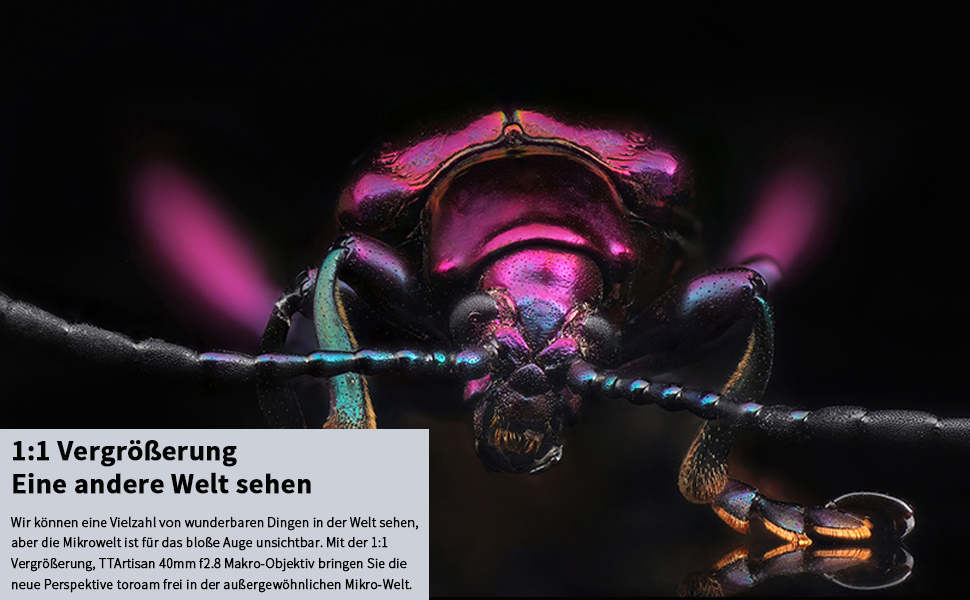 TARTISAN 40mm F2.8 Obiettivo macro APS-C Messa a fuoco manuale Obiettivo fotocamera mirrorless A2