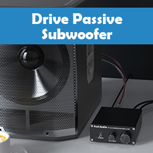Mini amplificatore compatto per subwoofer TP-02