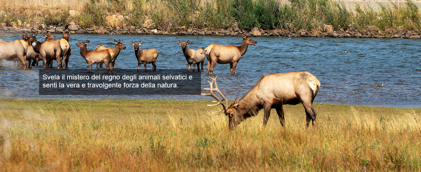 Binocolo Visione Notturna