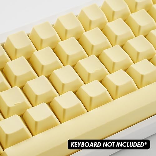 HHKB Professionale - (solo copritasti vuoti con dente di leone) - Fashionser