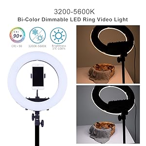 Ringlight - Lampada ad anello per selfie light chromakey