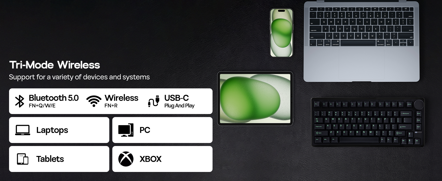 QK81